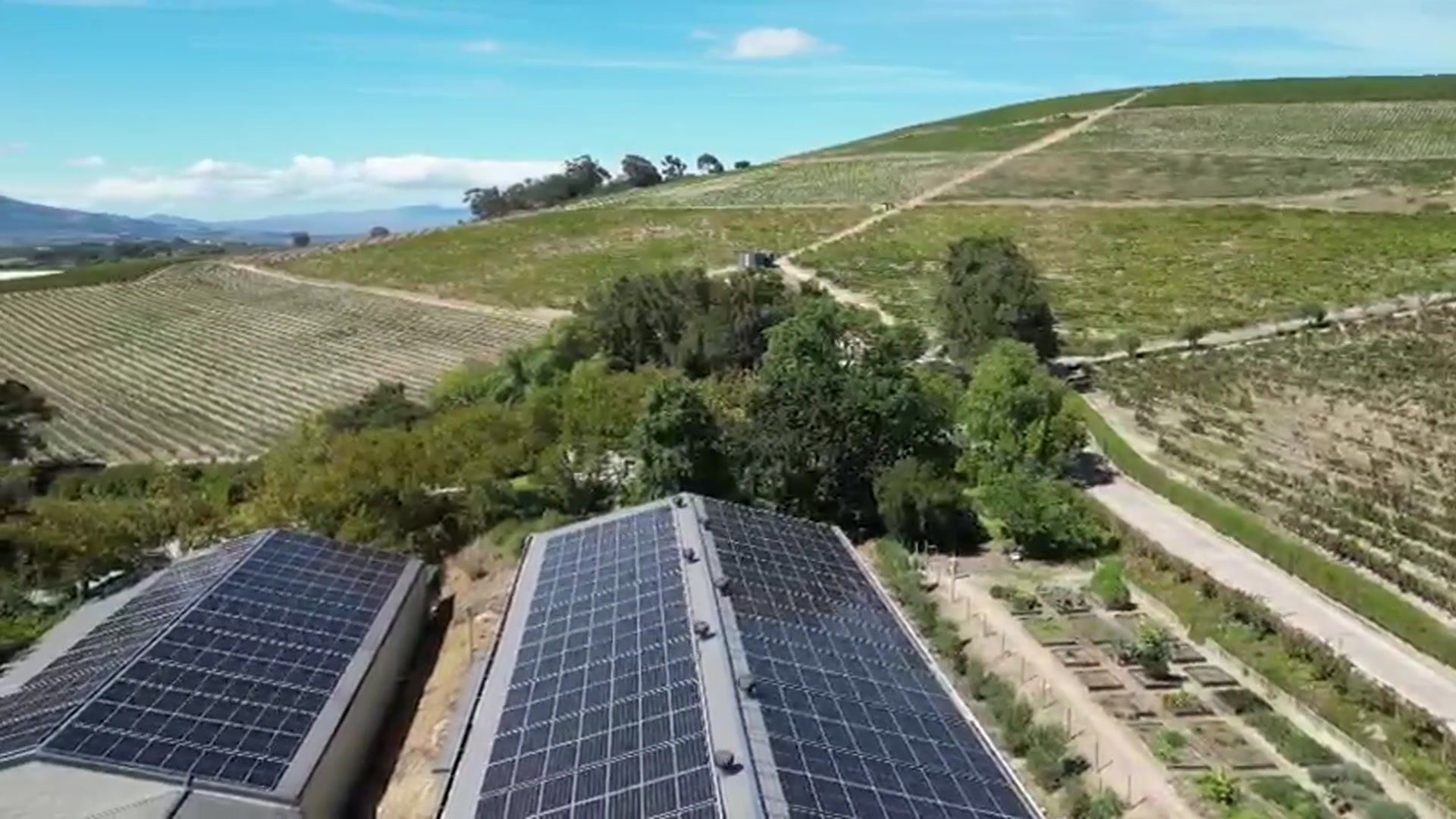 Jordan Wine Estate site overview and solar installation